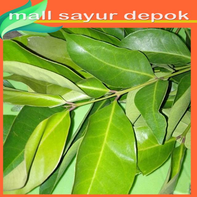 

Daun salam dan Daun Jeruk
