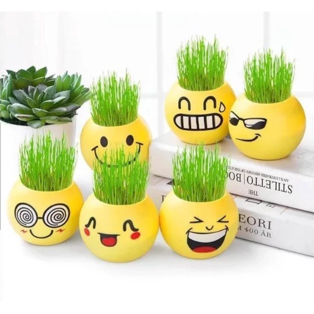 Mini Pot Emoji Vas Bunga Emoticon Pot Plastik Tanaman Hias Hidroponik