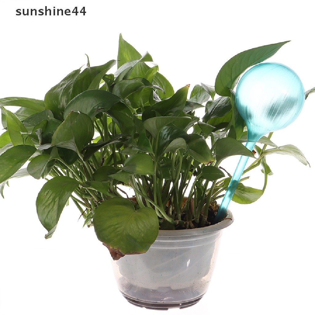 Sunshine Tanaman Otomatis Self Watering Water Ball Pot Bunga Alat Irigasi Tetes ID