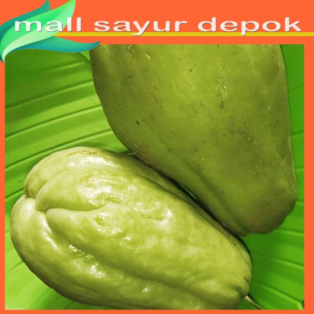 

Labu Siam Besar