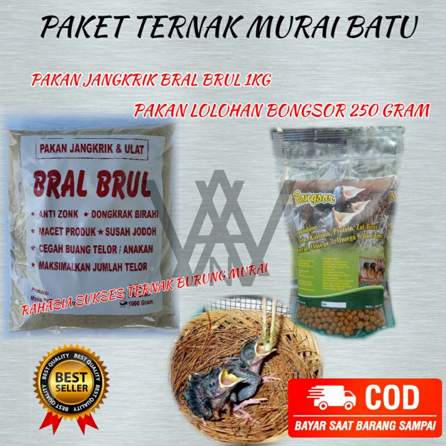 READY BONGSOR LOLOH DARI BRAL BRUL PELET PAKAN MAKANAN LOLOHAN PIYIK ANAKAN BURUNG MURAI KACER WAMBI