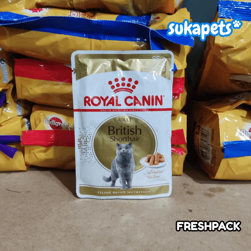 Royal Canin Adult British Shorthair Makanan Kucing Dewasa Wet 85gr