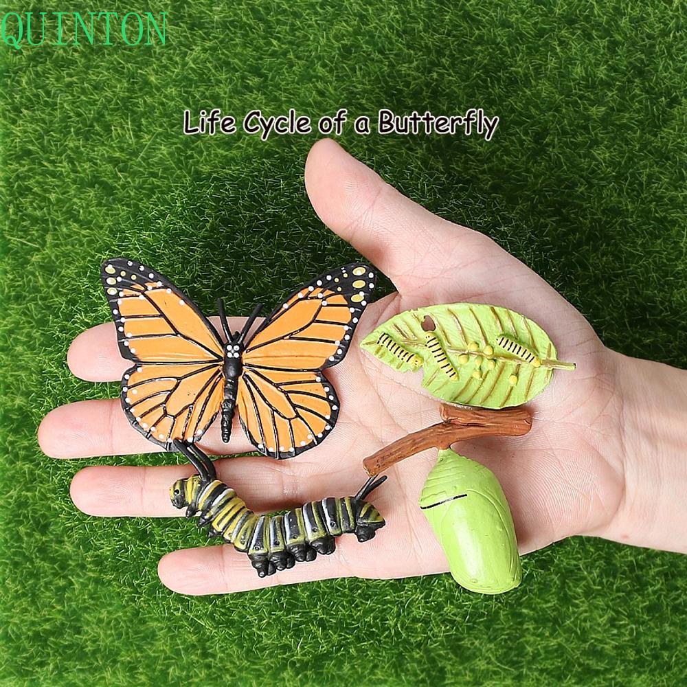 QUINTON Science Toy Simulation Animals Biology Action Figures Growth Cycle Model Butterfly Growth Cycle Spider Insect Animals Chicken Plastic Models Teaching Material Life Cycle Figurine