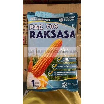 Benih Jagung hibrida PAC 789 RAKSASA 1Kg Pacific Seeds F