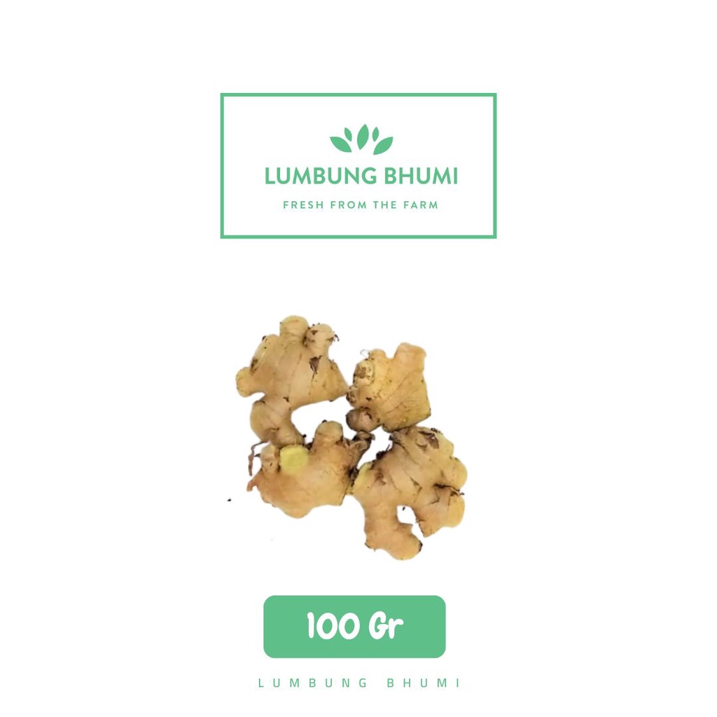 

Lumbung Bhumi - Jahe Gajah Sedang 100 Gr ( Sayur Curah )