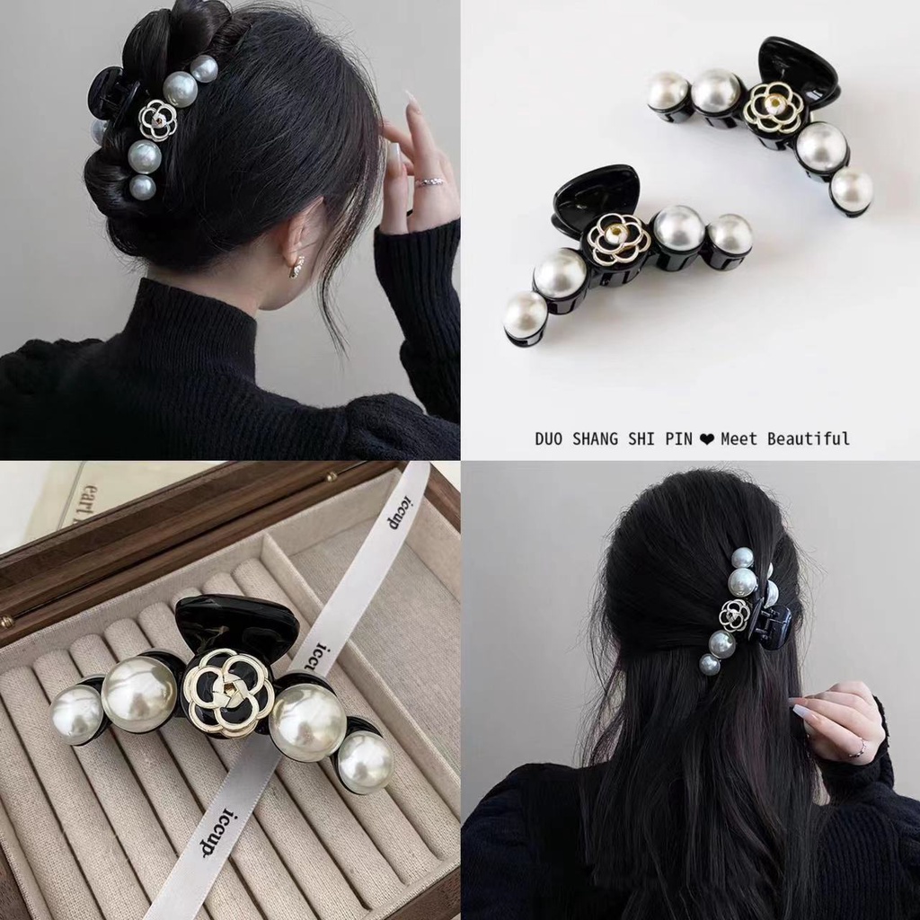 Camellia Gunung Angin Elegan Ambil Gadis Dengan Map Hiu Tuan Rumah Barlier Besar