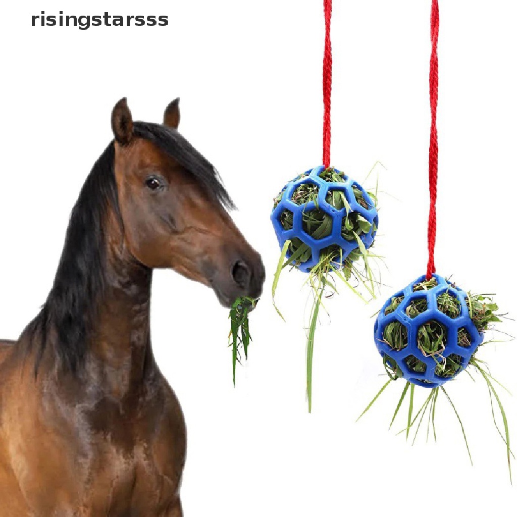 Rsid Span-new Horse Treat Ball Hay Toy Ball Mainan Makan Gantung Untuk Jelly Kambing Kuda