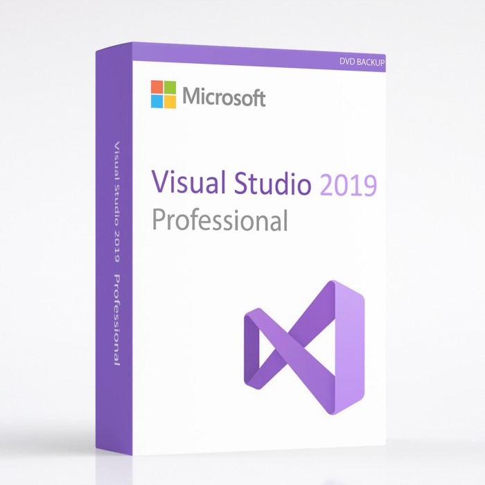 Visual Studio 2019 Professional Lifetime Licence Original