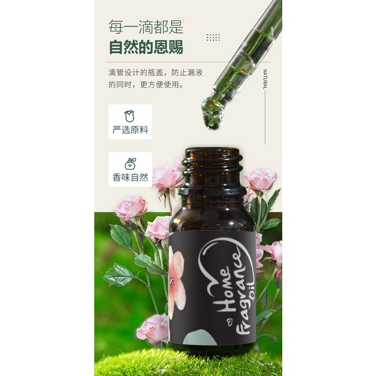 ESSENTIAL OIL AROMATHERAPY PENGHARUM RUANG FRAGRANCE OIL MINYAK AROMATERAPI AROMA PEWANGI RUANGAN Humidifier Fragrance Olis Diffuser Aromaterapi