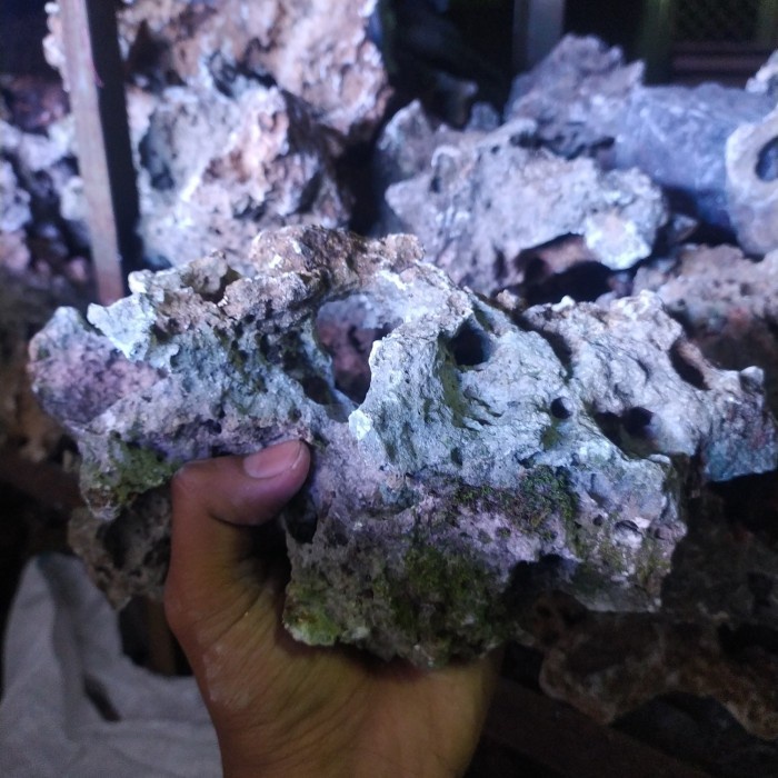 Batu Karang Cakep Penghias Pot | Aquascape | Aquarium | Taman |Tanaman