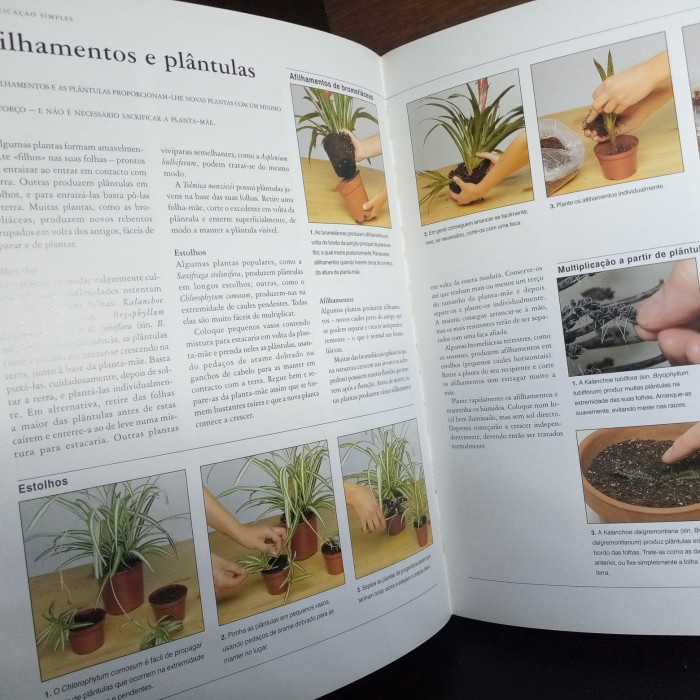 manual completo de plantas de interior bahasa purtugal HC 256 hal