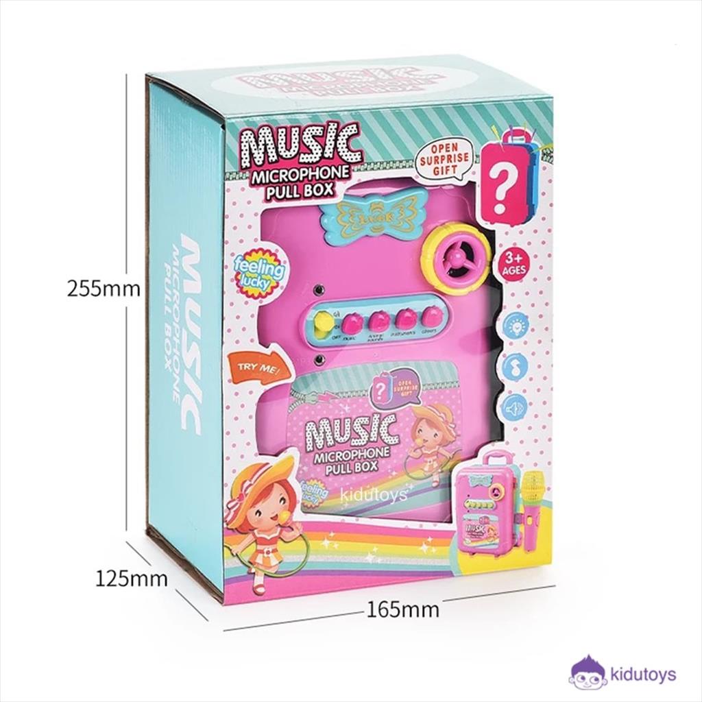 Music Microphone Box 1689 Kidu Toys