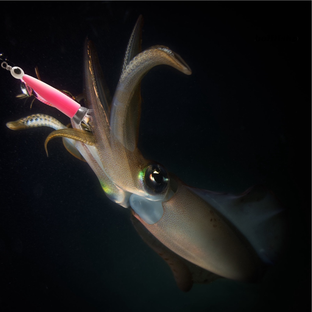 Bo-squid Jig Hook8Per10Jarum Dengan Mata Tajam Warna Cerah Penembus Kuat Atraksi Ikan Universal Glow in Dark Cuttlefish Sleeve Gurita Memancing Umpan Kait Perlengkapan Memancing