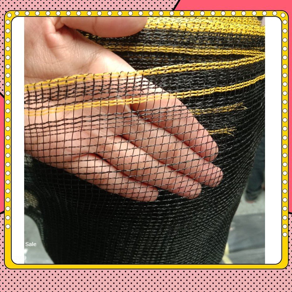 Waring Ikan Benang Single Waring hitam waring burung waring ikan waring pagar