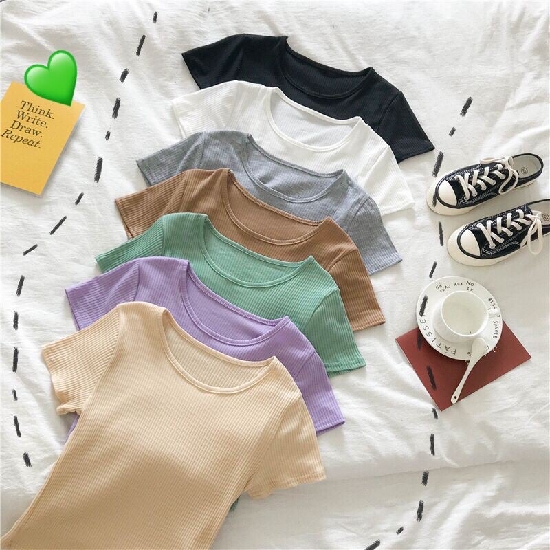 Tshirt ts rib basic polos (ld 80, p 44)