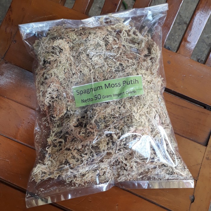 spagnum moss putih, moss anggrek, moss 50 gram, media tanam anggrek