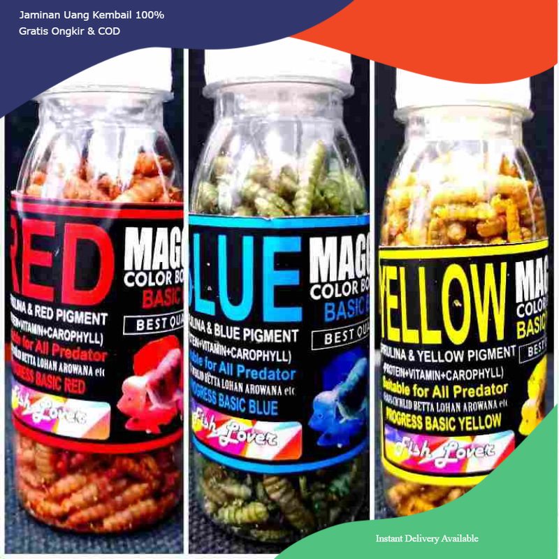 Makanan ikan Channa maggot, pakan ikan channa maggot, pakan ikan channa maggot, maggot kering, pakan