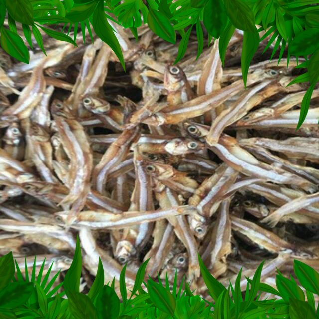 

SAYURAN FRESH NUSANTARA - TERI TAWAR 100gr