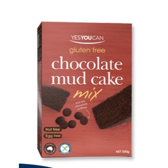 

YesYouCan Gluten Free Chocolate Mud Cake