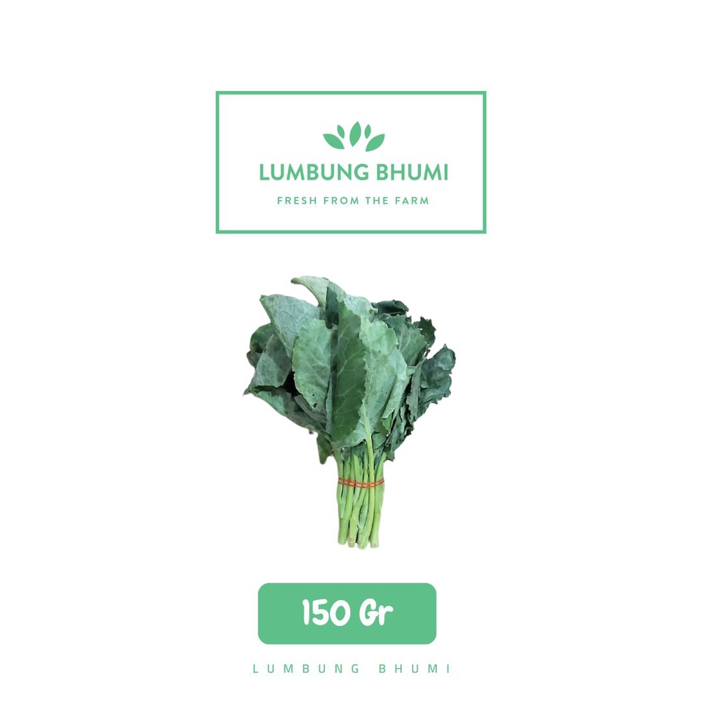 

Lumbung Bhumi - Kailan 150 Gr ( Sayur Curah )