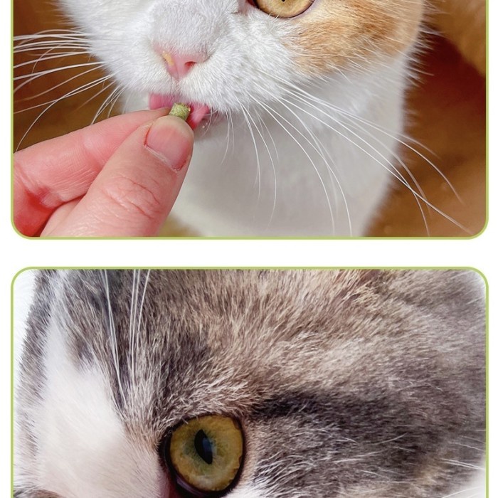 Cemilan catnip kucing grass grains snack cat camilan magic catnip