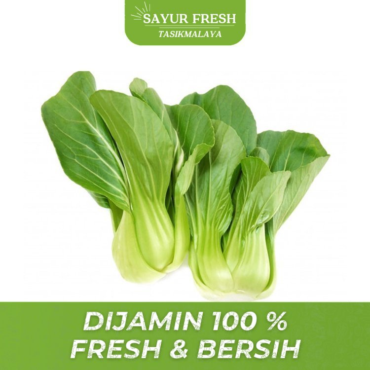 

Sayur Pakcoy Lokal 250 gr - SAYUR FRESH TASIKMALAYA