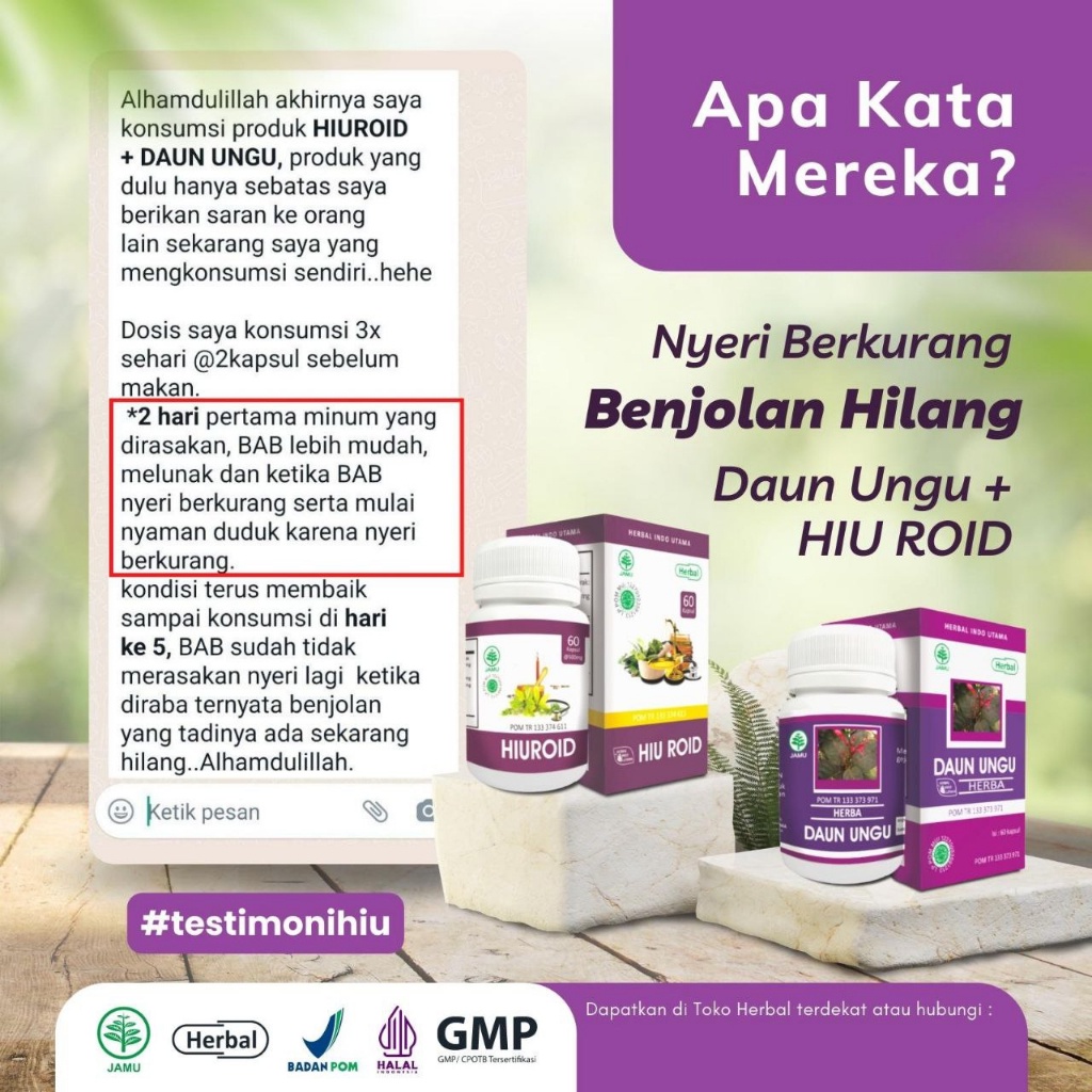 Daun Ungu Obat Untuk Wasir Ambeien Original Paling Ampuh