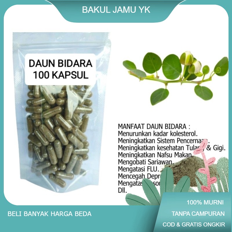 

DAUN BIDARA isi 100 kapsul untuk kulit dan pereda nyeri.