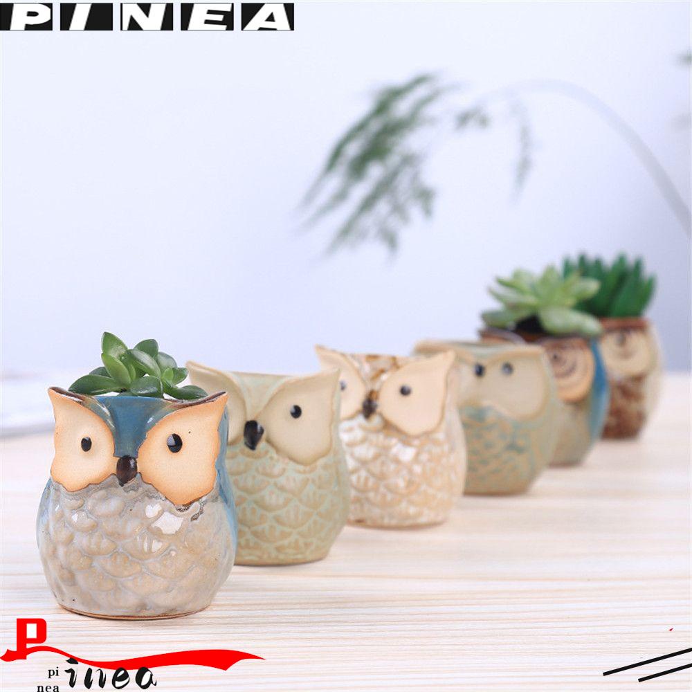 Pot Bunga Nanas Pot Sukulen Bentuk Burung Hantu Indoor Baru
