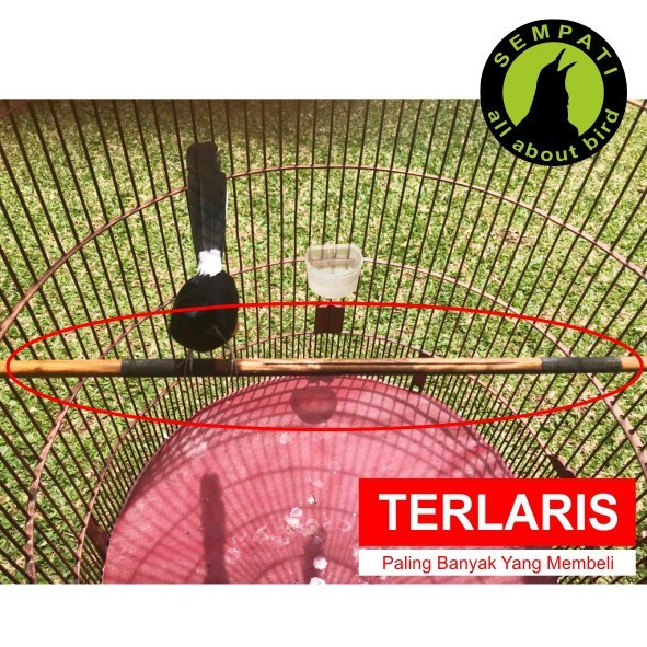 TANGKRINGAN MURAI AMPLAS EBOD JAYA KAYU JATI UNTUK SANGKAR KANDANG BULAT BURUNG MURAI BATU