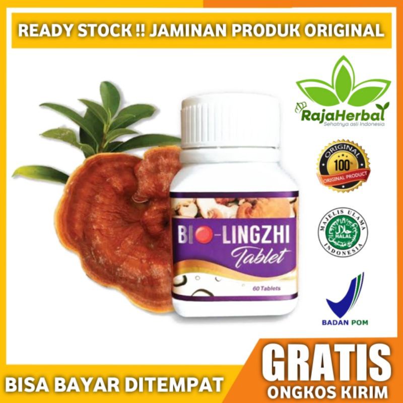 (BHJ)Bio Lingzhi isi 60 Tablet Original 100% Asli Herbal Kesehatan ® Bio Grape Obat Diabetes Herbal(