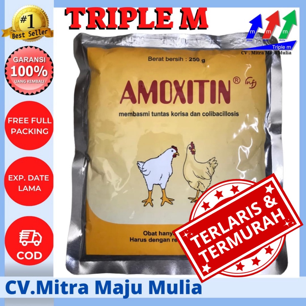 Amoxitin 250 gram MEDION obat korisa