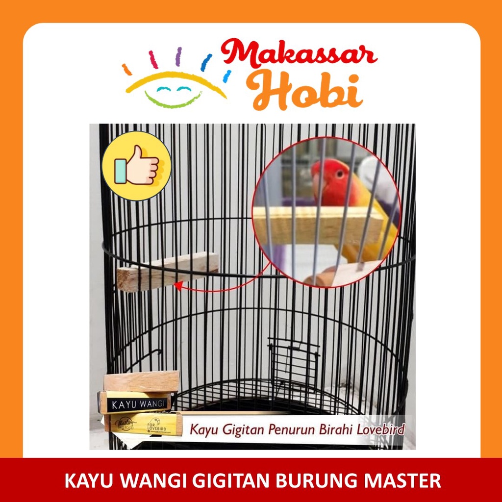 Gigitan Penurun Birahi Burung Lovebird Kayu Wangi Master Manis Gigit