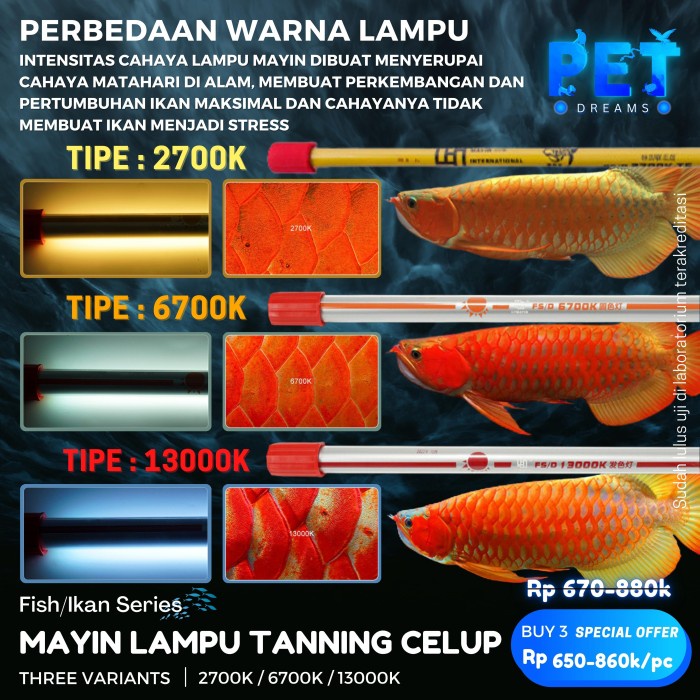 LAMPU TANING CELUP  ARWANA MAYIN INTERNATIONAL 6700K - 13000K - 2700K