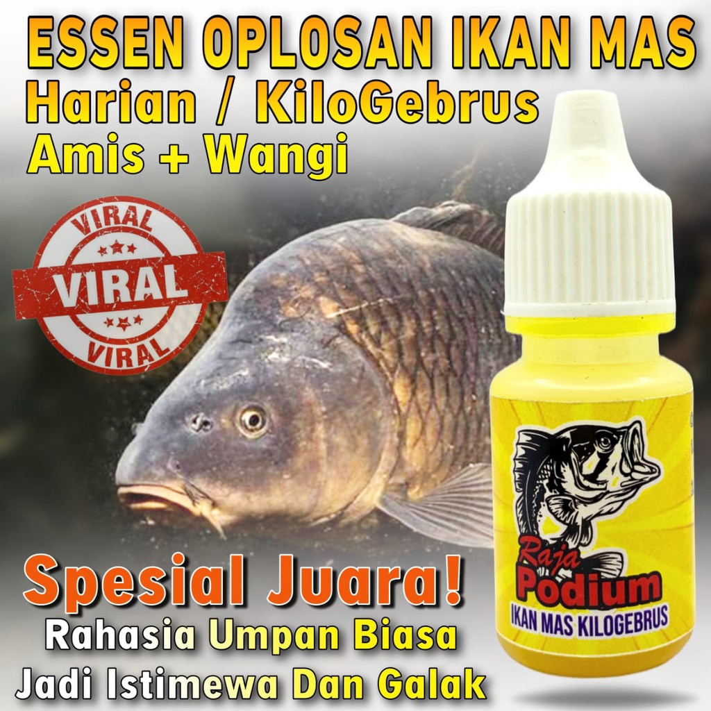 Essen Ikan Mas Spesialis Lomba Harian KiloGebrus Ikan Rame Paling Gacor, Esen Raja Podium Ikan Mas P