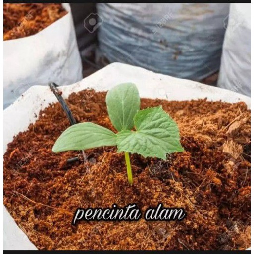 promo 5 kg media tanam cocopeat  media tanam cocopeat  cocopeat murah  media tanam murah