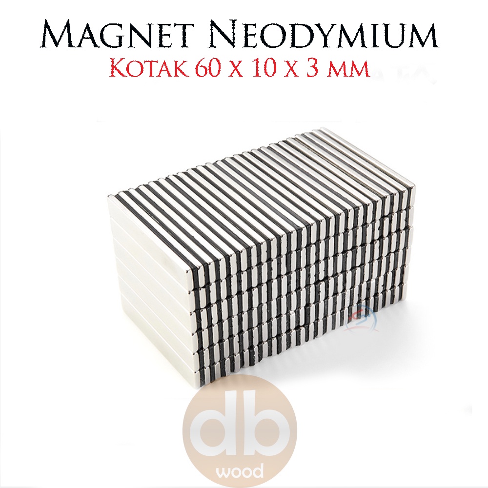 

Magnet Neodymium Persegi Kotak F60x10x3