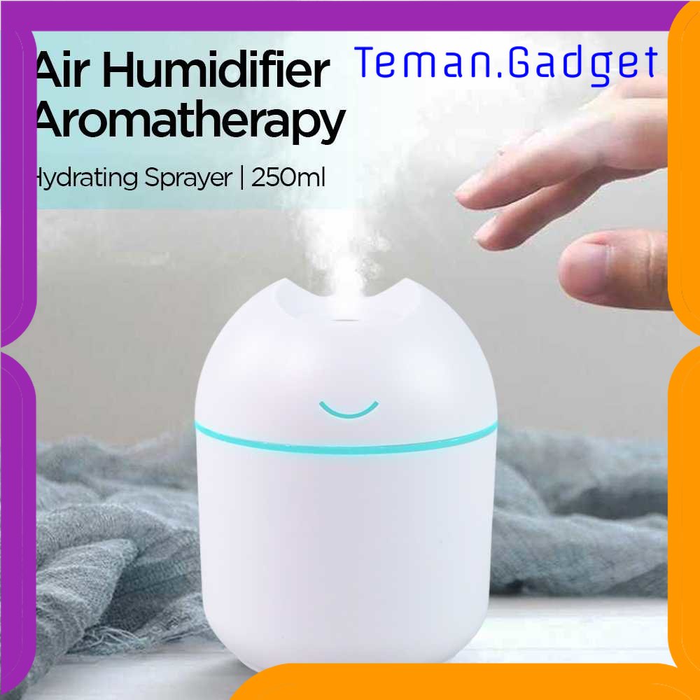 TG - ART Air Humidifier Aromatherapy Hydrating Sprayer 250ml - CH341