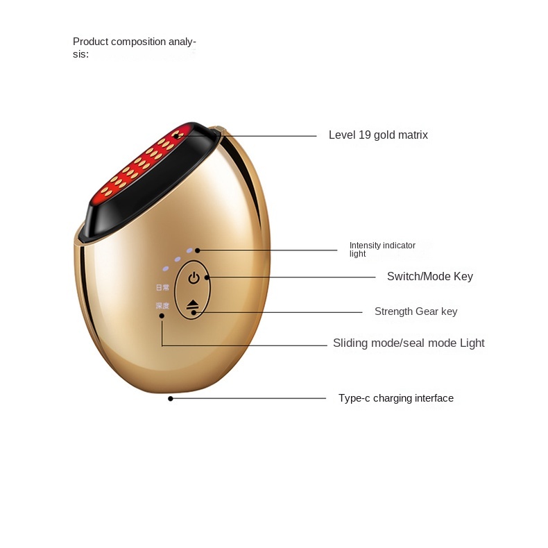 Beauty Instrumen facial EMS micro Pengangkat Dan Pengencang Arus Kolagen cannon seal import RF Instrumen