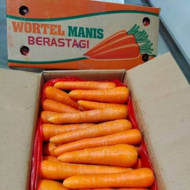 

SUPER PROMO!! Wortel import Berastagi 500gr-1kg Brastagi