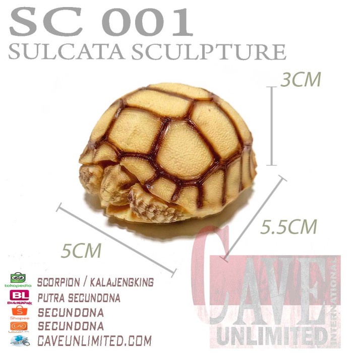 Replika pajangan patung tortoise Astrochelys Yniphora kura kura darat - BABY SULCATA