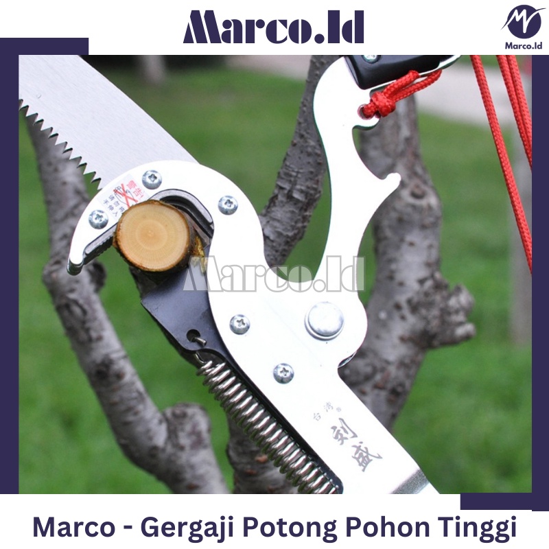Gergaji Pemotong Ranting Pohon Berukuran Tinggi
