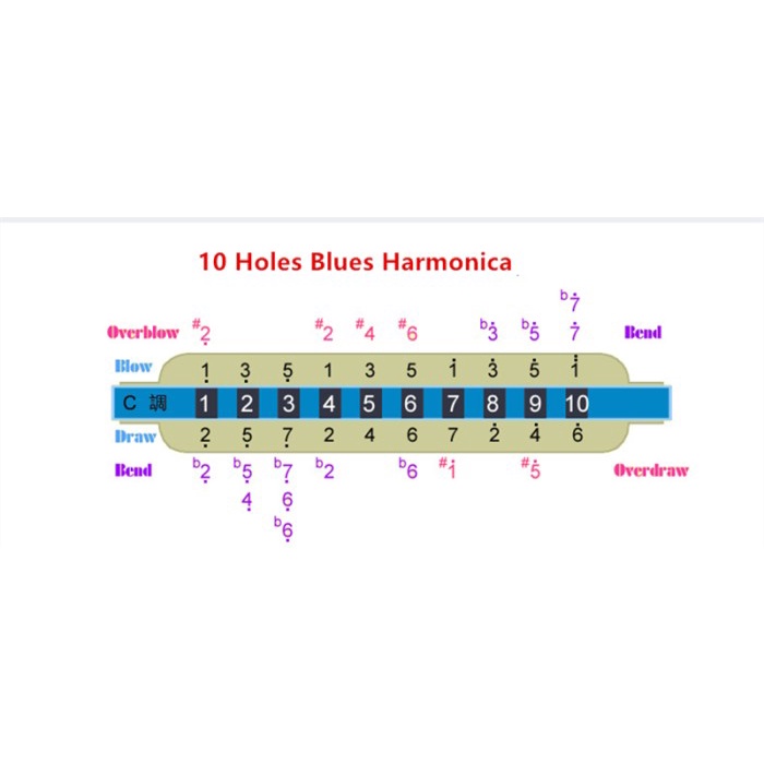 Alat Musik Harmonika SWAN Harmonica 10 Hole lubang 20 Nada C Diatonik