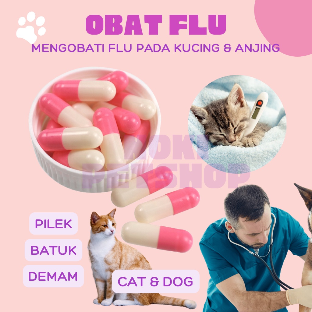 [BISA COD] FLUCAT ANTI FLU DAN PILEK CAPS UNTUK KUCING KAPSUL FLU BERAT KUCING OBAT FLU AMPUH FLUCAT DOXYCAT OBAT FLU KUCING CAT BATUK OBAT BATUK KUCING DOXY CAT DOXYCAT IM ORGANIC ECER OBAT FLU DAN ANTIBIOTIK KUCING