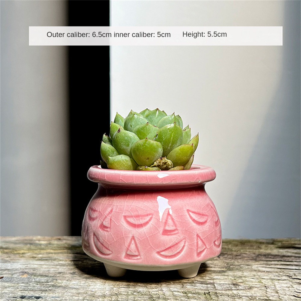 Flpot Bunga Tanaman Berdaging Pola Cakar Kucing Pot Bunga Keramik Pot Sukulen Berdiri Es Pot Sukulen Retak Dekorasi Desktop Rumah