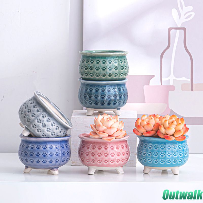 Flpot Bunga Tanaman Berdaging Pola Cakar Kucing Pot Bunga Keramik Pot Sukulen Berdiri Es Pot Sukulen Retak Dekorasi Desktop Rumah