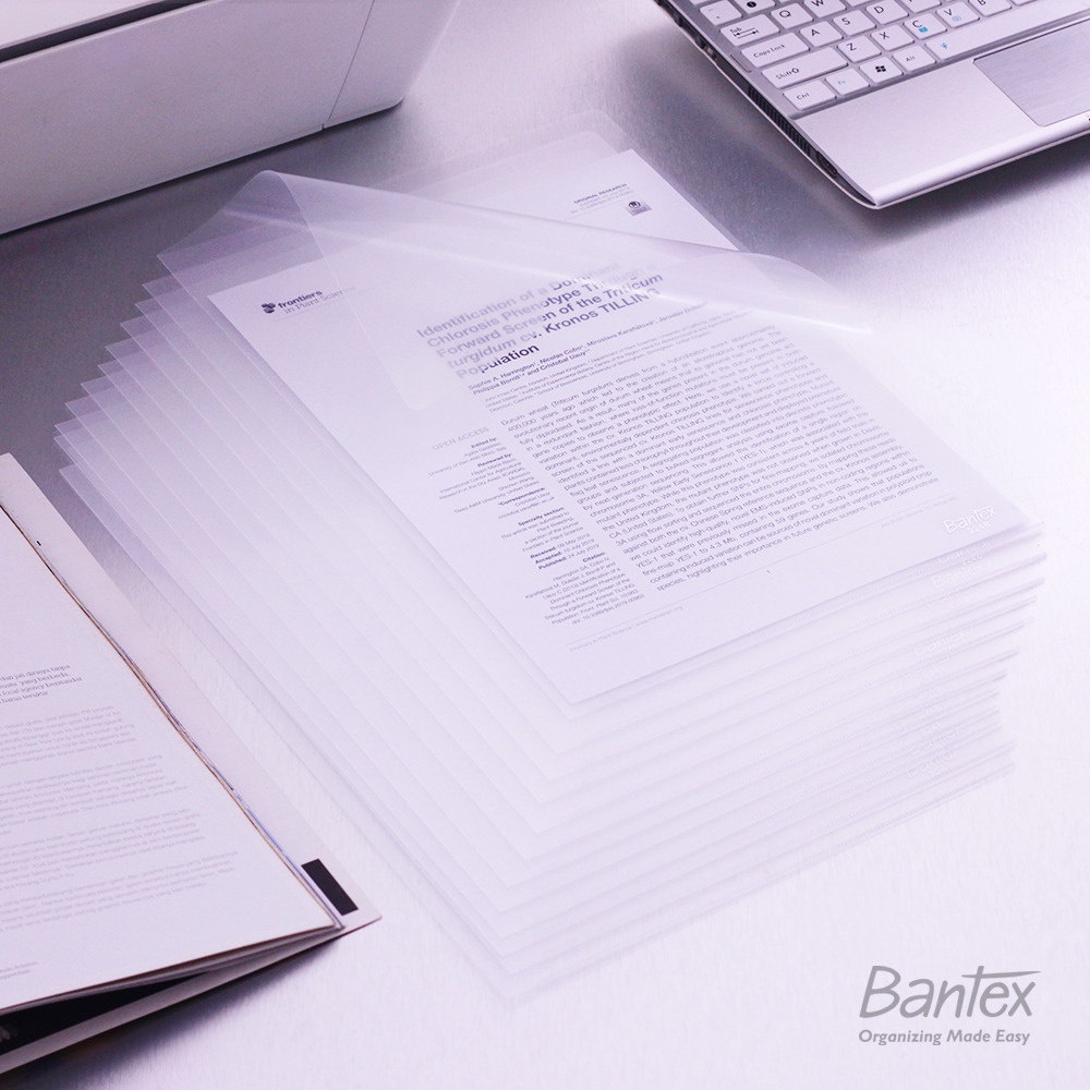 

[BMS Surabaya] 12 Pcs Bantex Map L Plastik Bening Clear Sleeve L Folder Folio F4 Clear 2248 08