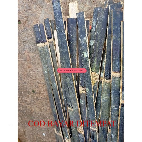 TERBAIK BAMBU HITAM BILAH  ajir / bambu bilah / pagar bambu 1 bilahan  BAMBU HITAM REDY LANGSUNG KIR