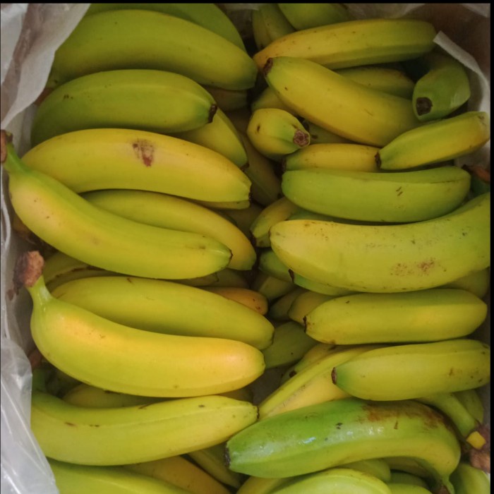 

PISANG SUNPRIDE pack isi 5 pcs
