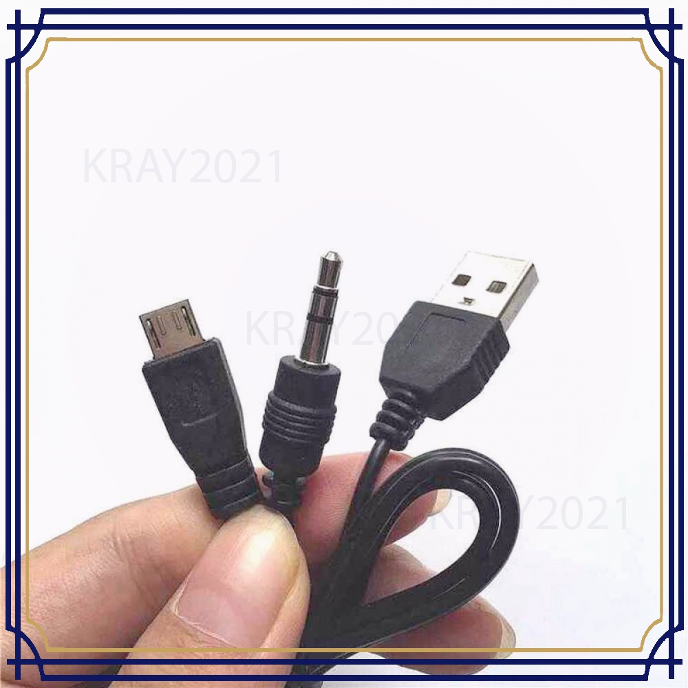 Kabel Splitter Micro USB ke AUX 3.5 mm + USB Male -CV824